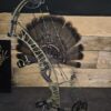 Hoyt Highline RH 70 Wilderness