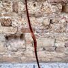 Handmade traditional bow by Phyton Bows