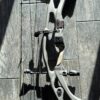 Hoyt RX-8 Ultra